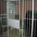решётка тамбур